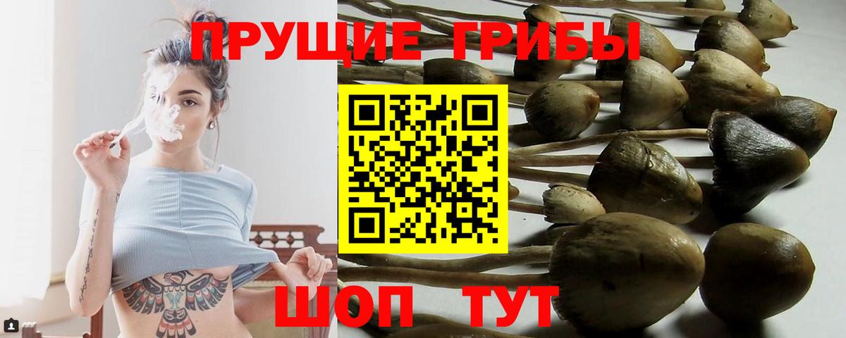 Галлюциногенные грибы мухоморы  Вход с VPN  Избербаш 
